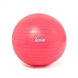 Luxia Fitball 65 cm Palla Fitness per Pilates, Yoga, Tonificazione Addominale, Ginnastica. Fitball...