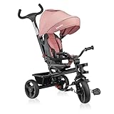 Lionelo Haari 2 in 1 Triciclo bici e passeggino fino a 25kg, Pieghevole, Fronte mamma e fronte strada,...