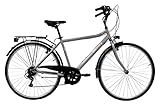 Discovery Bicicletta Uomo, Bici Trekking Manhattan 28'' Cambio Shimano 6 velocità, Colore Metal, Silver...