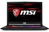 MSI GE73 Raider RGB 8RF-212IT Notebook da Gaming, 17.3' FHD ,Intel i7-8750H, 16 GB di RAM, SSD da 256 GB...