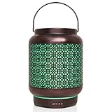 Humidific Diffusore di Aromi, Metallo 250ml Diffusori Oli Profumati Nebulizzatore Silenzioso Aromaterapia...