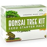Kit Bonsai – Kit per crescere il tuo Albero Bonsai a partire dal seme – Regali originali per amanti...